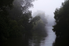 Hans - "die Saale bei Kunitz"