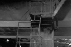 Stefan - "mit der großen"