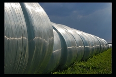 Torsten - "Gut verpackt"