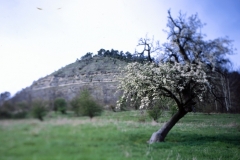 Stefan - "Spielerei"