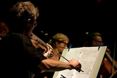 henryk - "A Fist Of Fiddle"