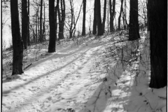 Markus - "Im Schnee"