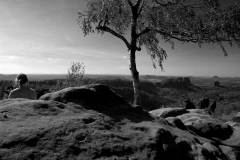 johannes - "arizona calling"