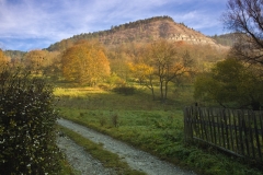 johannes - "jenapennickental I"