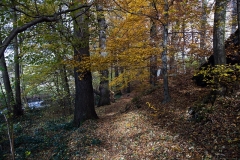Hans - "Der ""Poetenweg"" im Vogtland"